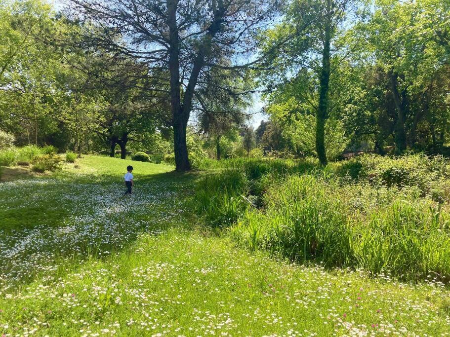 Les Restanques Bougainvillee 2051 Grimaud Εξωτερικό φωτογραφία