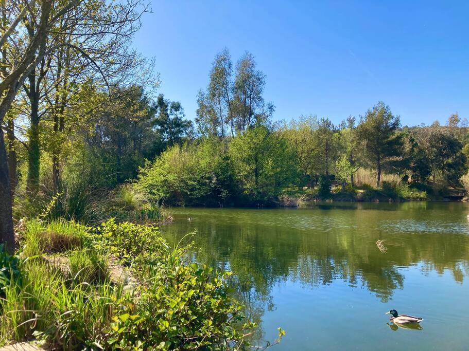 Les Restanques Bougainvillee 2051 Grimaud Εξωτερικό φωτογραφία